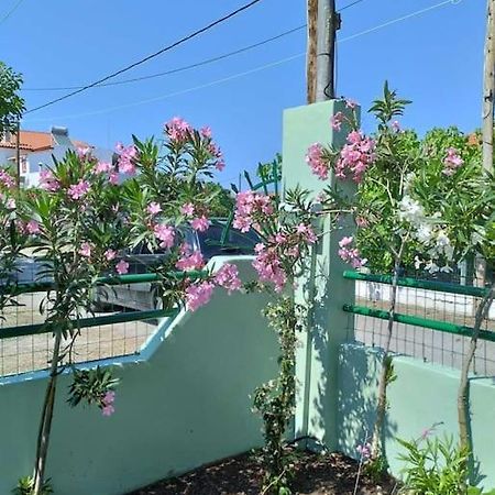 Lovely Guesthouse On The Beach Agia Anna  Exteriör bild