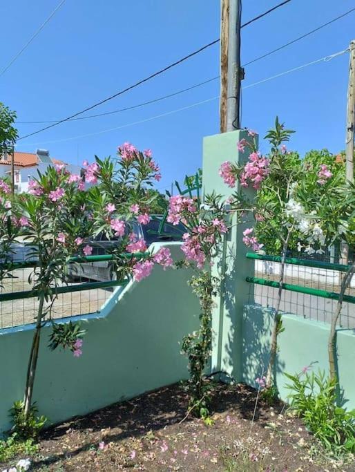 Lovely Guesthouse On The Beach Agia Anna  Exteriör bild