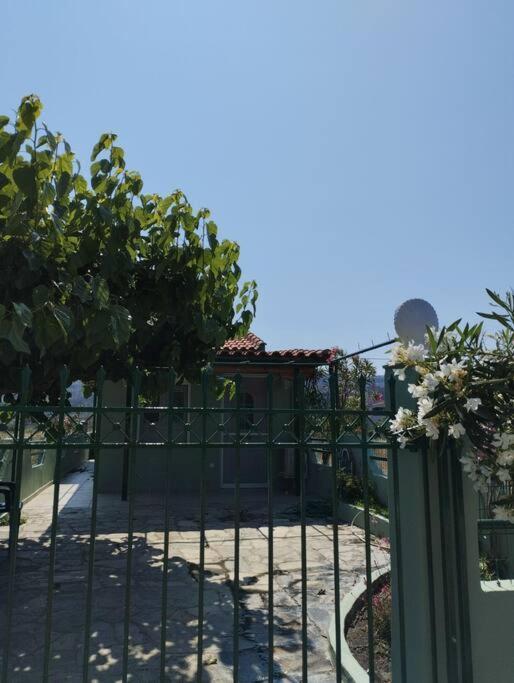 Lovely Guesthouse On The Beach Agia Anna  Exteriör bild